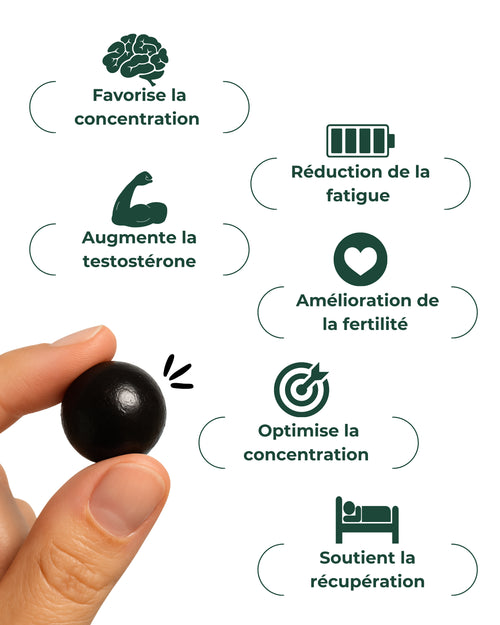 Gummies Shilajit – Énergie, Force & Vitalité